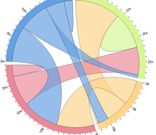 Synteny Browser