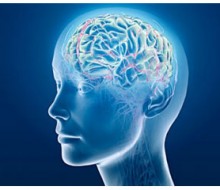 Unfetter – Neurofeedback